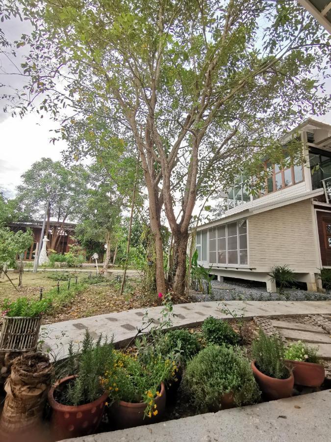 Baangaimuan Acomodação com café da manhã Lamphun Exterior foto